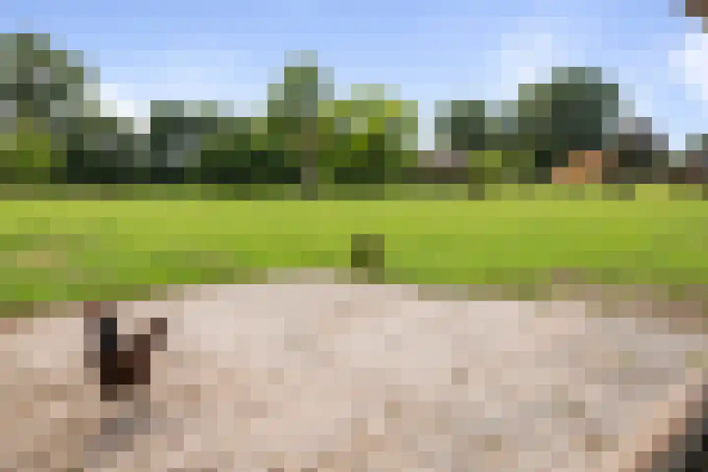 Dennendijk 6 Geesteren thumbnail 85