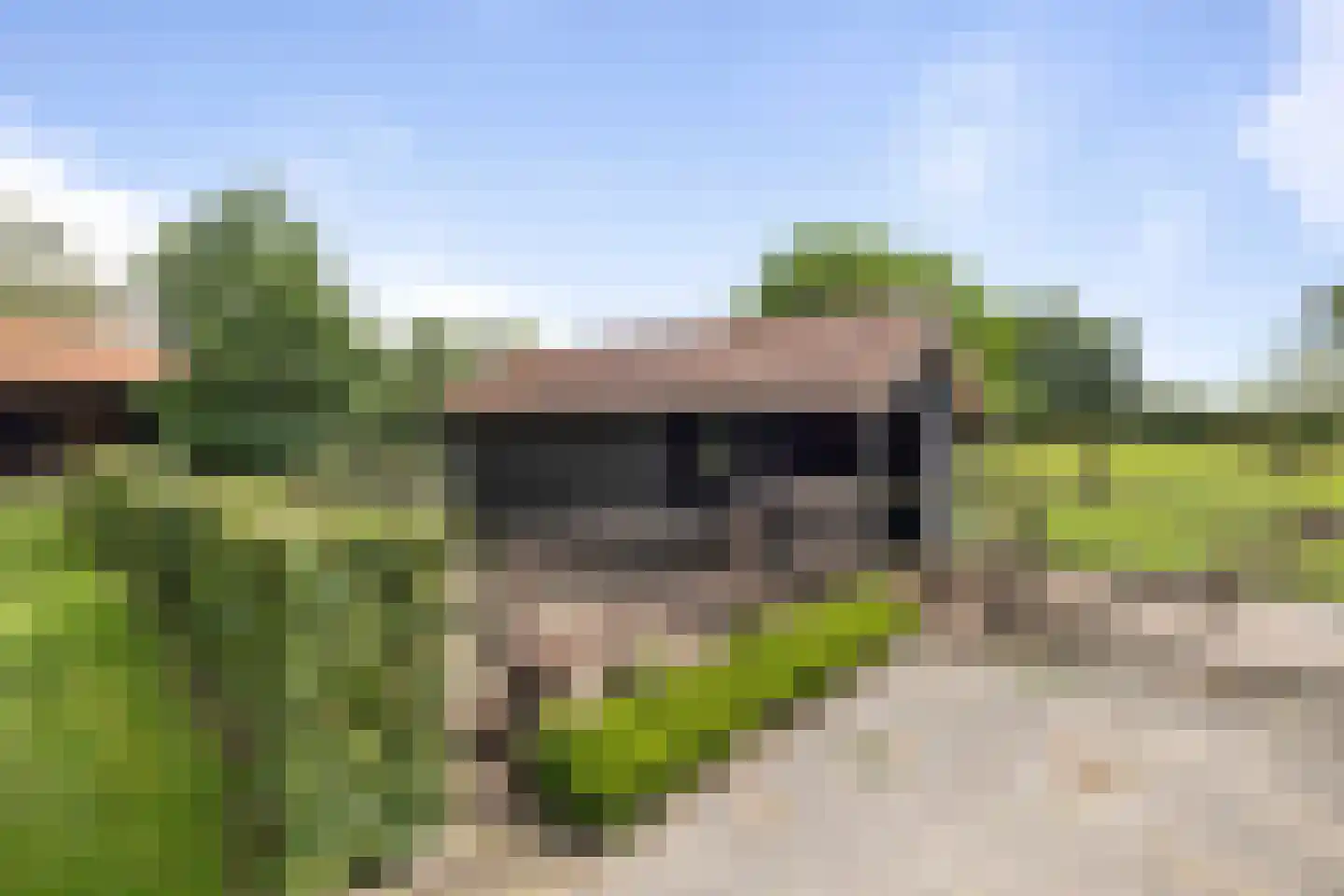 Dennendijk 6 Geesteren thumbnail 86