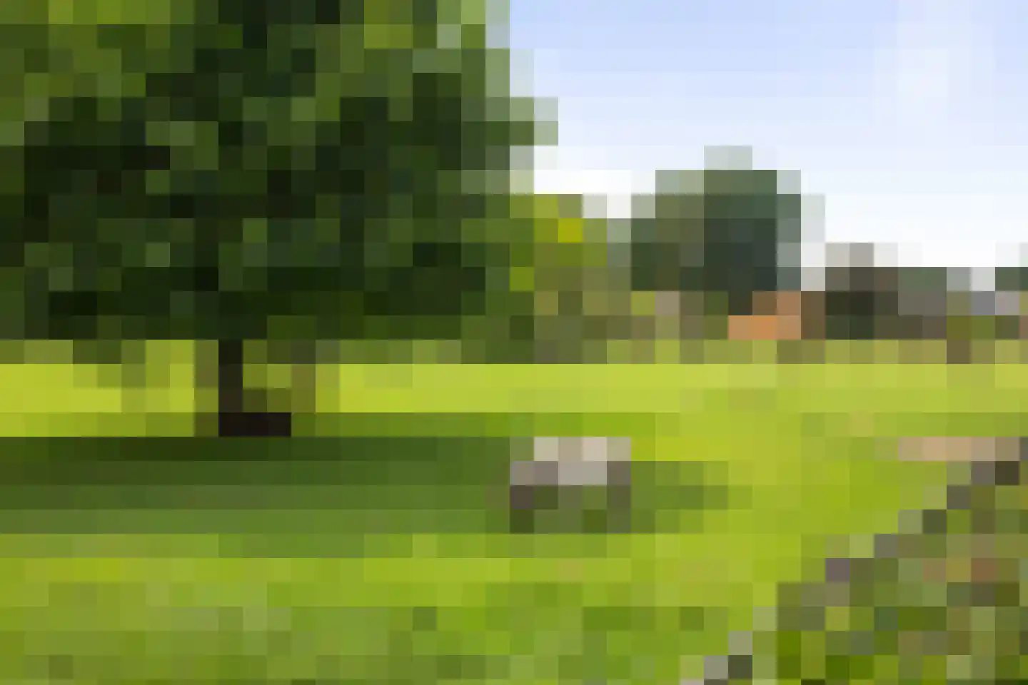 Dennendijk 6 Geesteren thumbnail 89