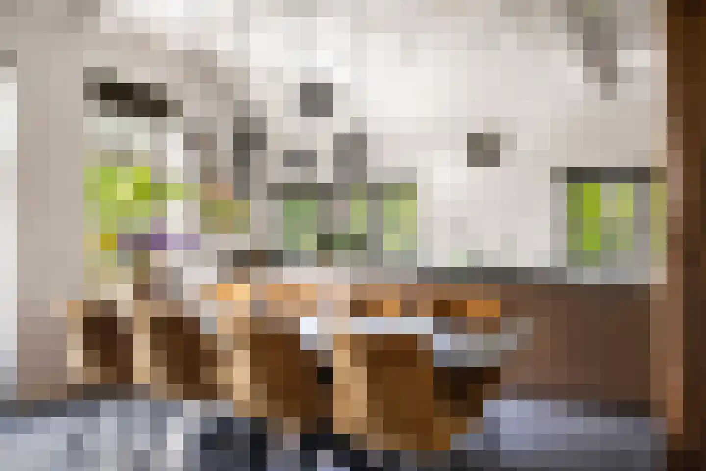Dennendijk 6 Geesteren thumbnail 9