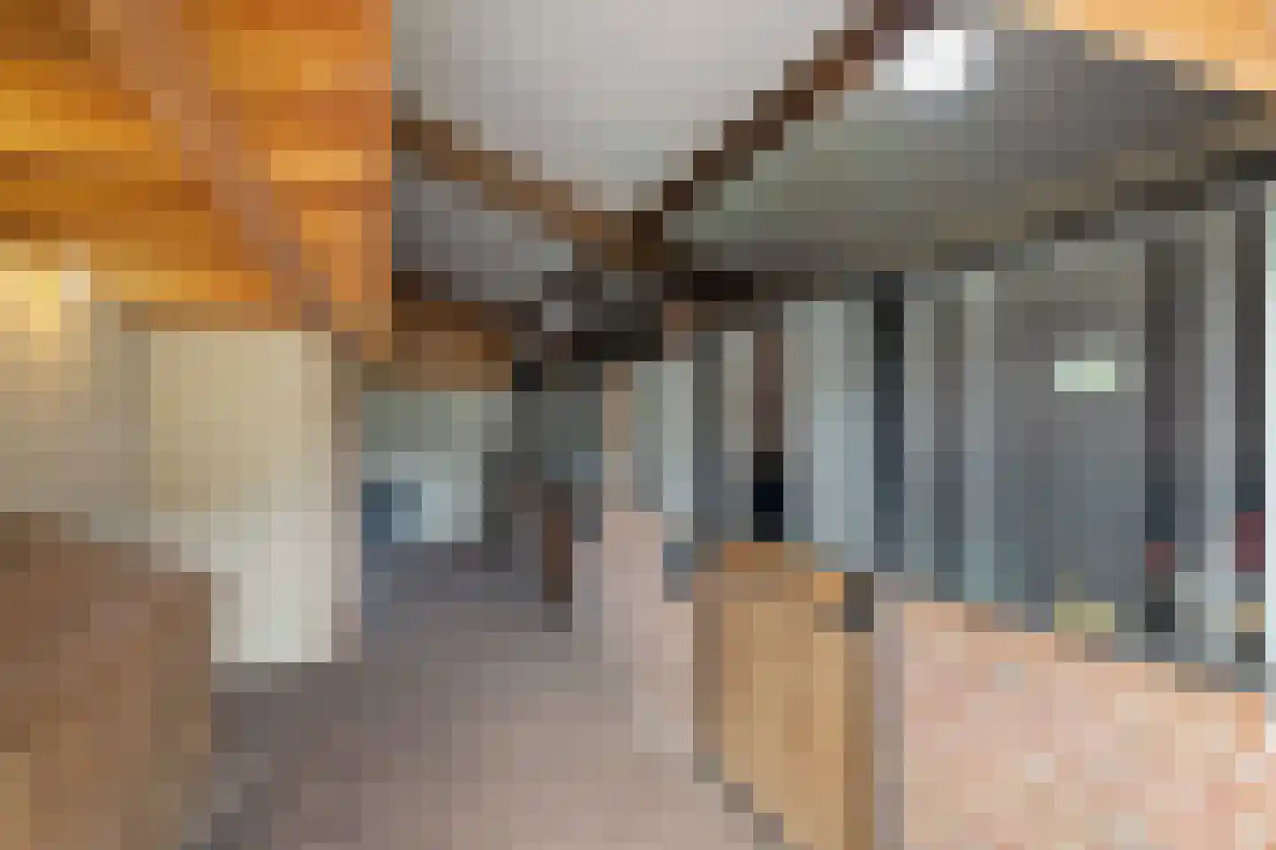 Dennendijk 6 Geesteren thumbnail 90