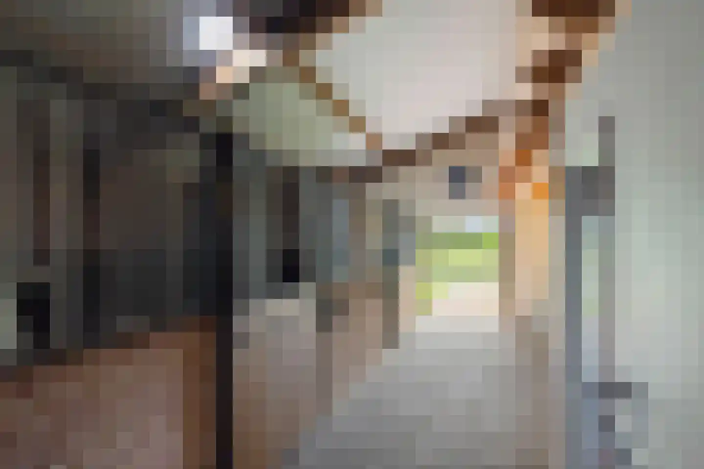 Dennendijk 6 Geesteren thumbnail 91