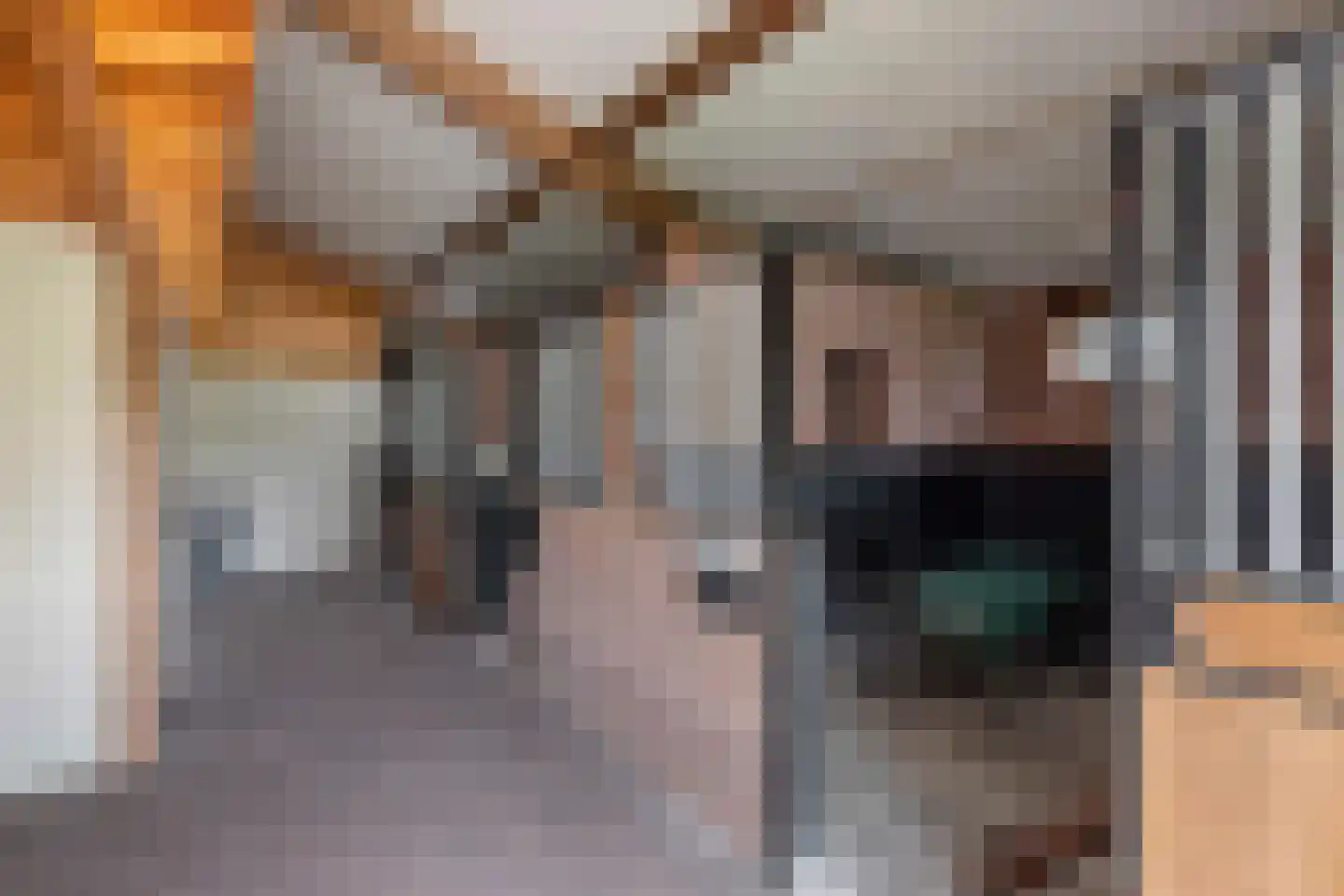 Dennendijk 6 Geesteren thumbnail 92