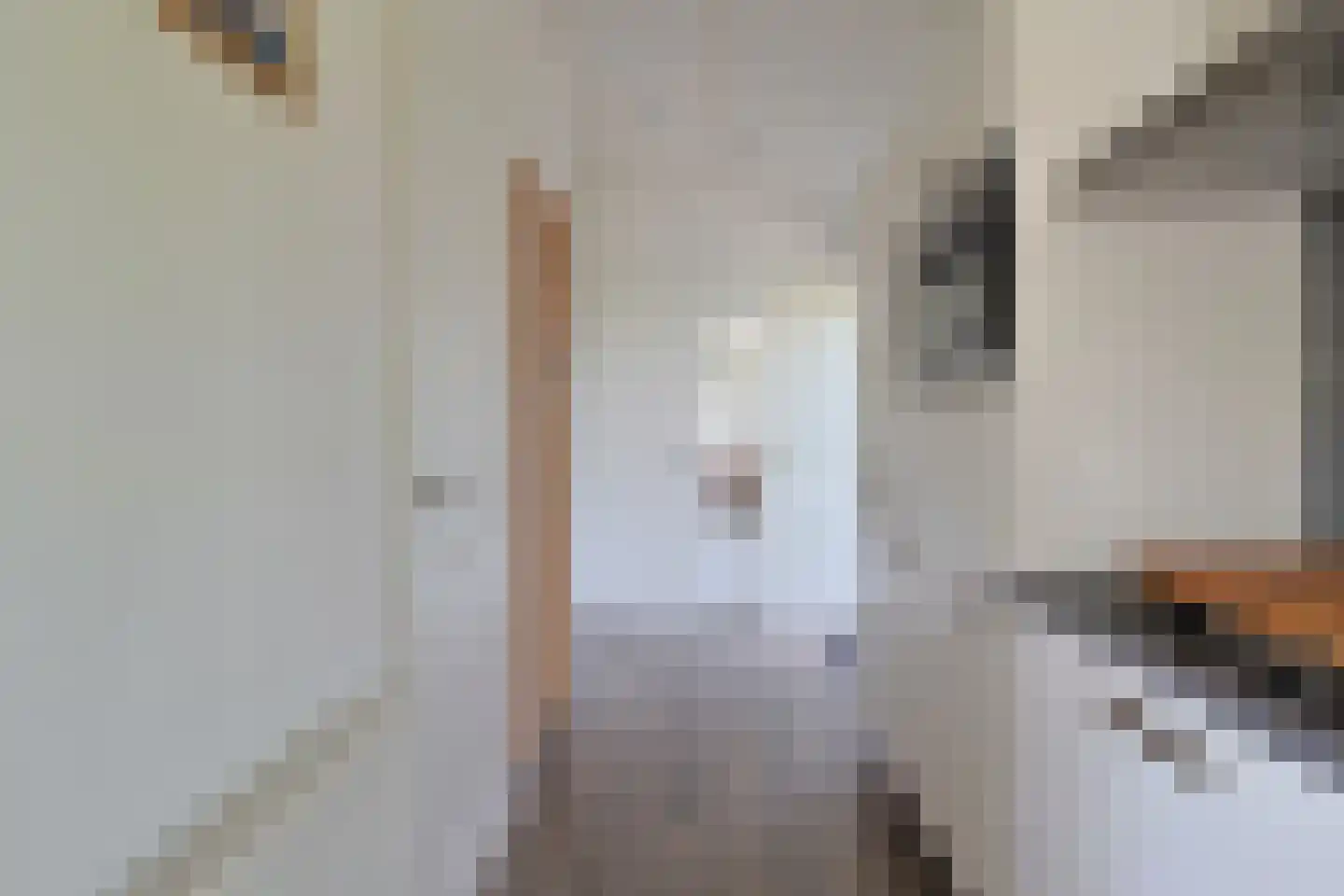 Dennendreef 5 033 Boxtel thumbnail 11