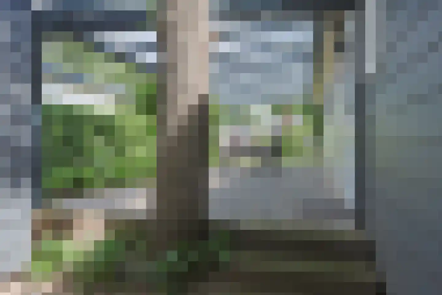 Dennendreef 5 033 Boxtel thumbnail 31