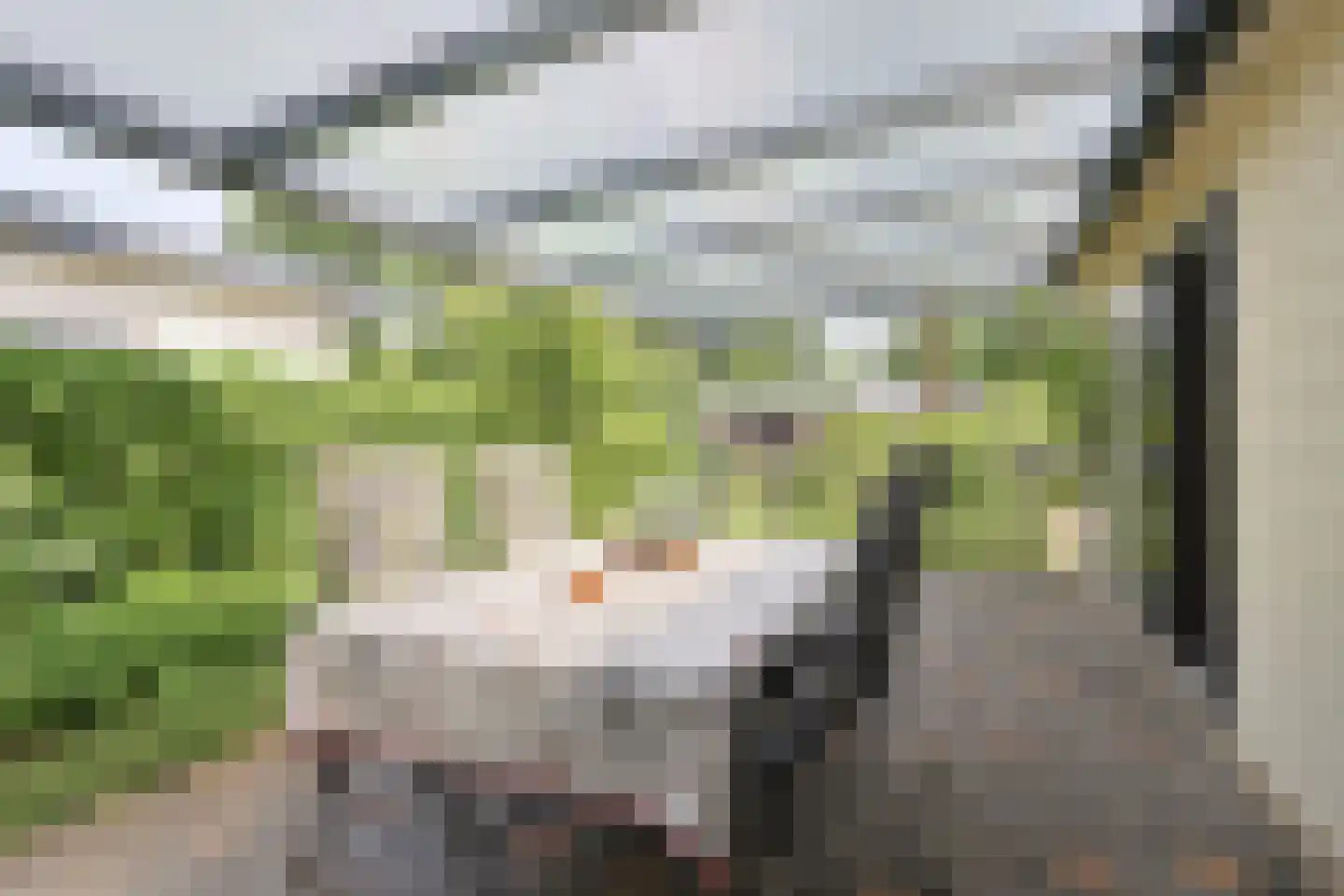 Dennendreef 5 033 Boxtel thumbnail 32