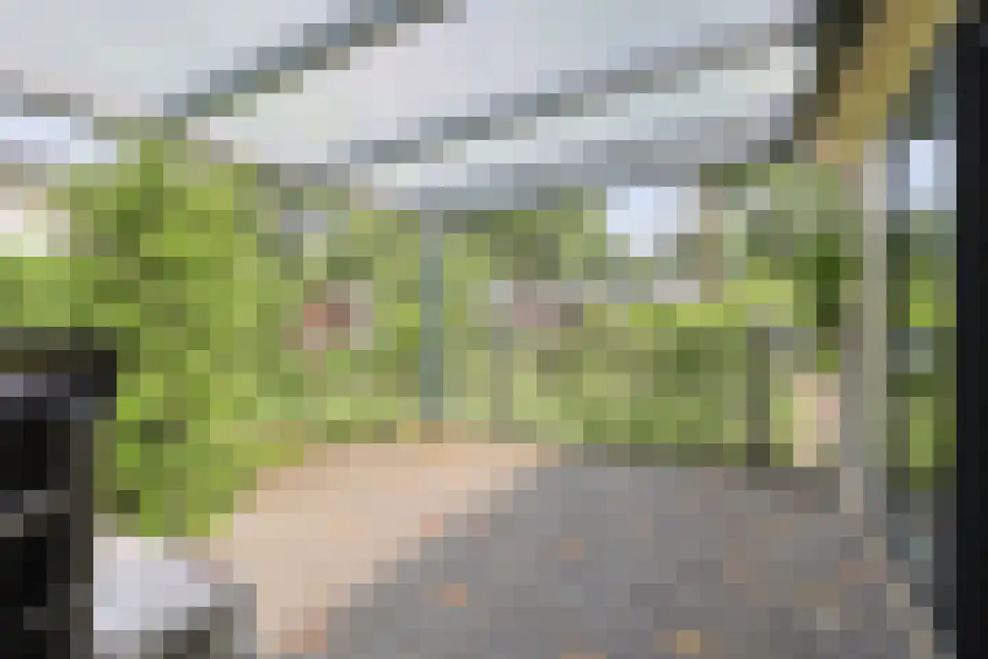 Dennendreef 5 033 Boxtel thumbnail 33