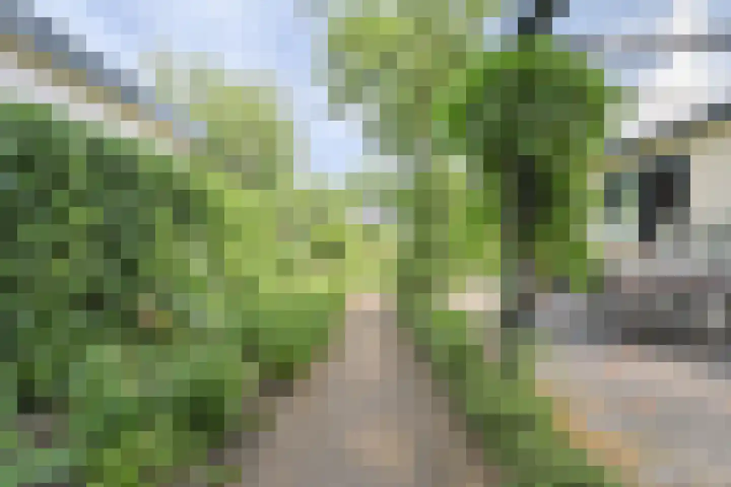 Dennendreef 5 033 Boxtel thumbnail 34