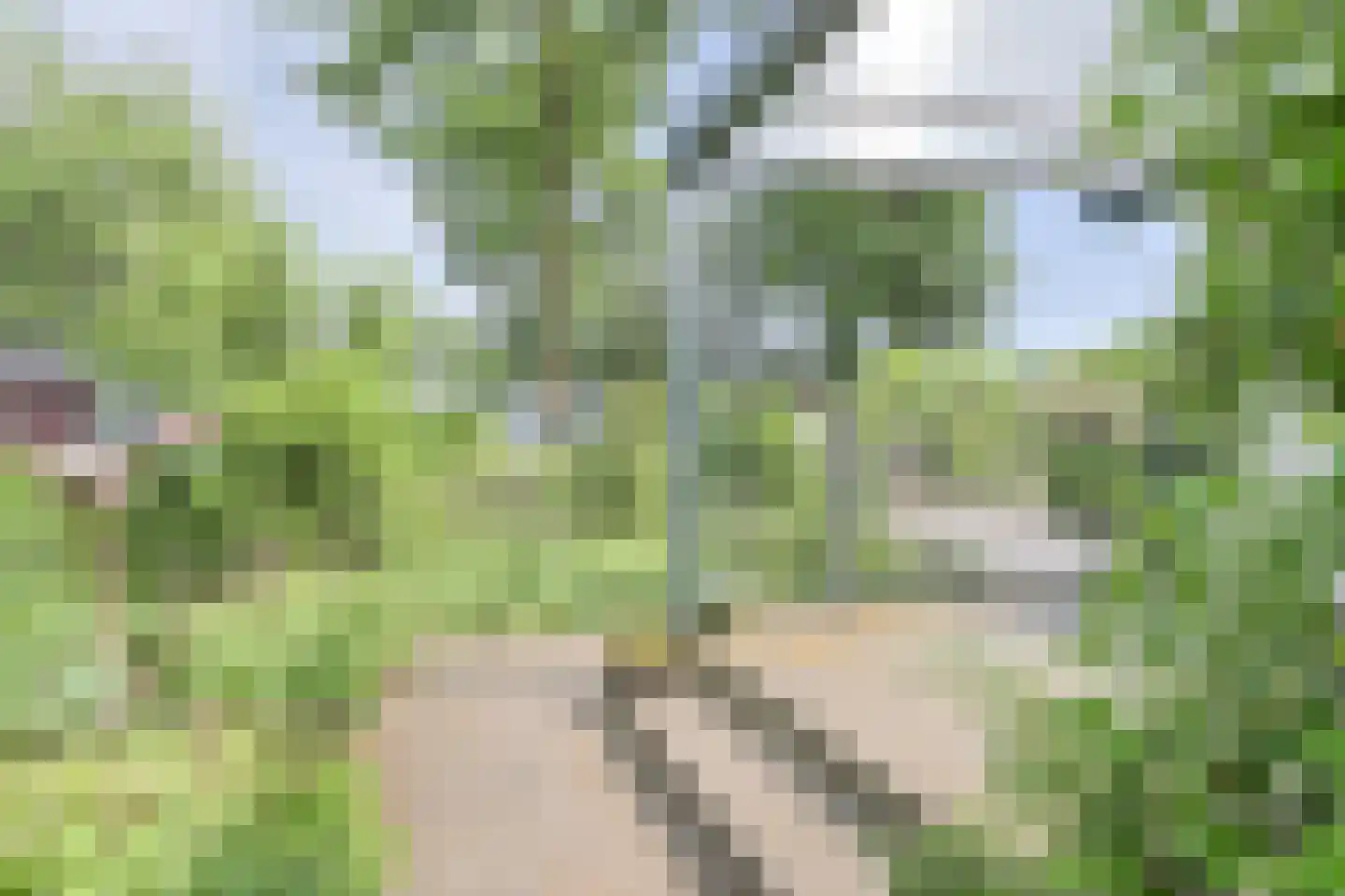 Dennendreef 5 033 Boxtel thumbnail 35