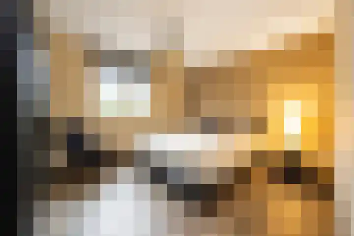 Dennendreef 5 089 Boxtel thumbnail 23