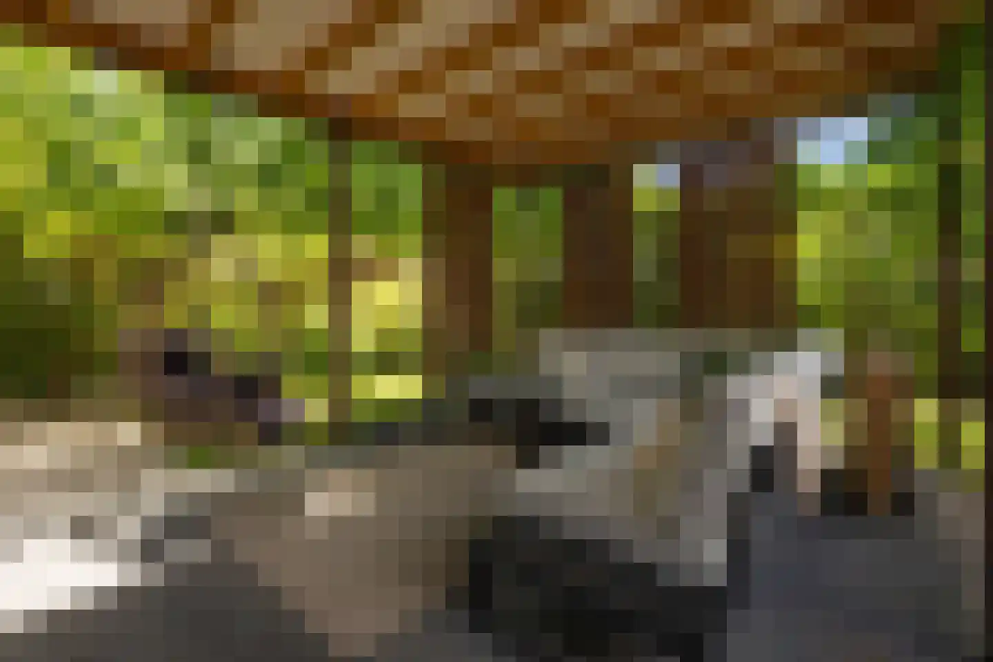 Dennendreef 5 089 Boxtel thumbnail 31