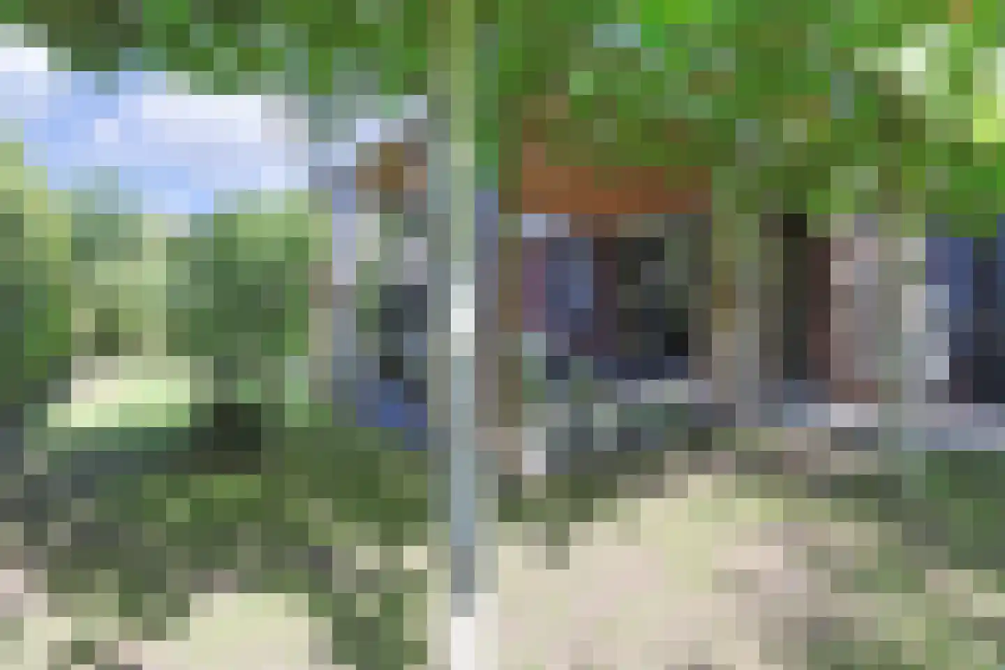 Dennendreef 5 089 Boxtel thumbnail 31