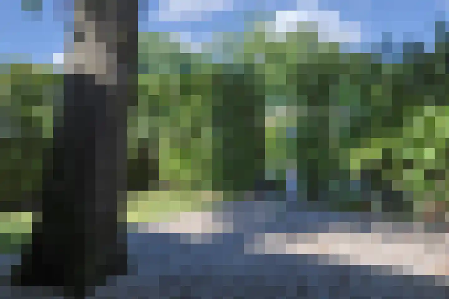 Dennendreef 5 089 Boxtel thumbnail 33