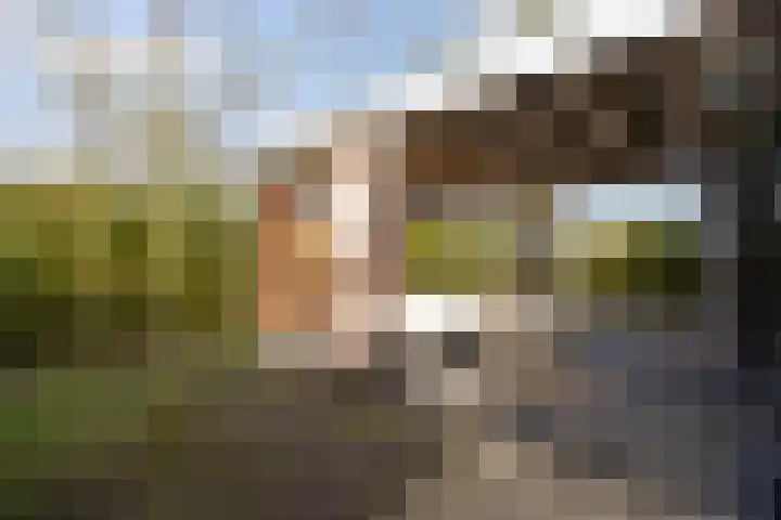 Dennendreef 5 089 Boxtel thumbnail 34