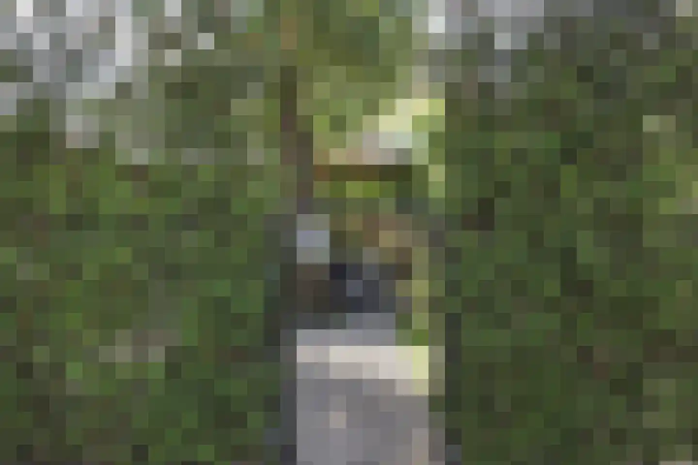 Dennendreef 5 089 Boxtel thumbnail 34