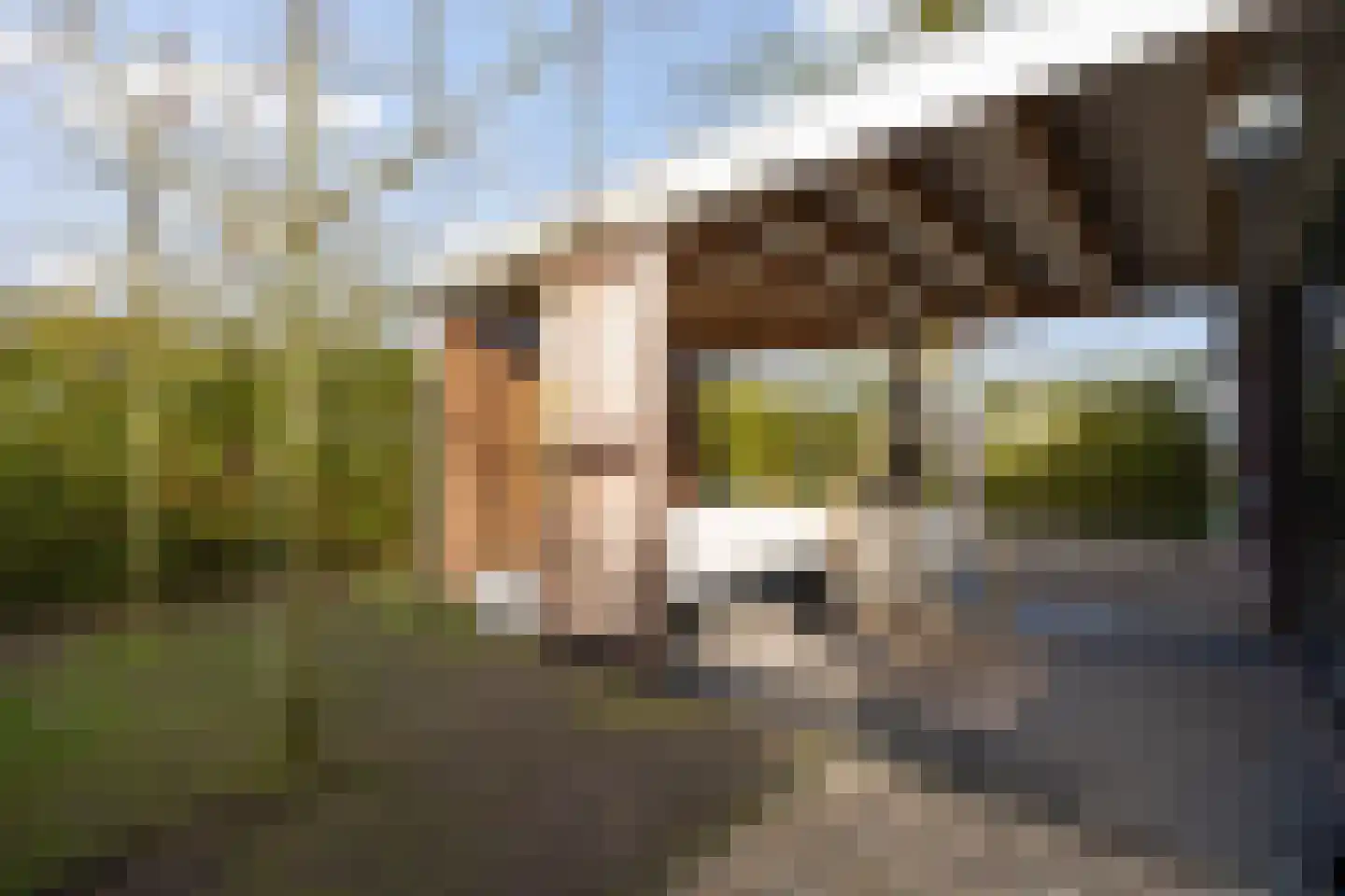 Dennendreef 5 089 Boxtel thumbnail 34