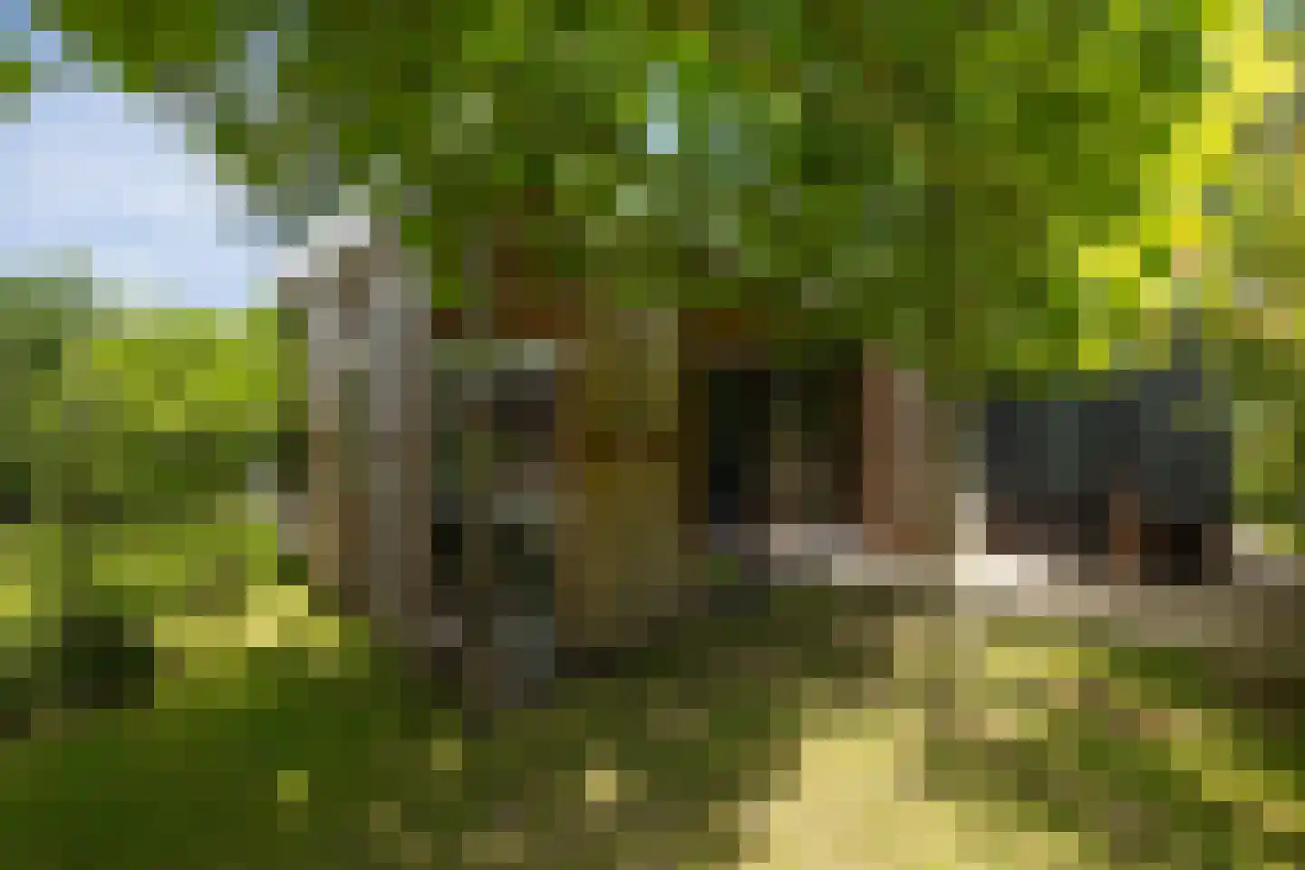 Dennendreef 5 089 Boxtel thumbnail 35