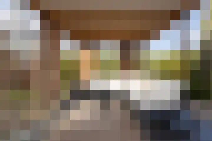 Dennendreef 5 089 Boxtel thumbnail 36