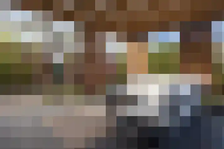 Dennendreef 5 089 Boxtel thumbnail 37