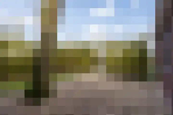 Dennendreef 5 089 Boxtel thumbnail 38