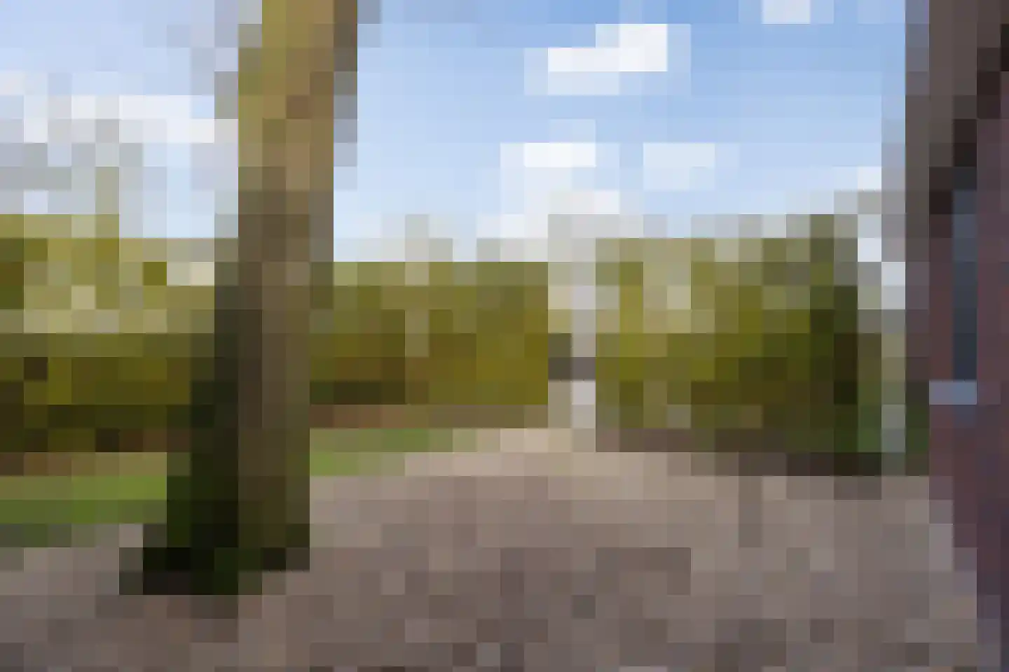 Dennendreef 5 089 Boxtel thumbnail 38