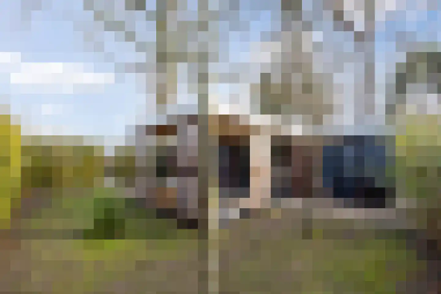 Dennendreef 5 089 Boxtel thumbnail 41