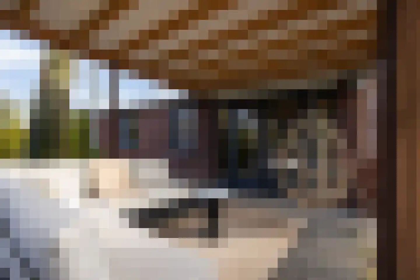 Dennendreef 5 089 Boxtel thumbnail 42