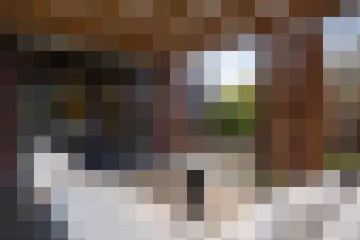 Dennendreef 5 089 Boxtel thumbnail 44