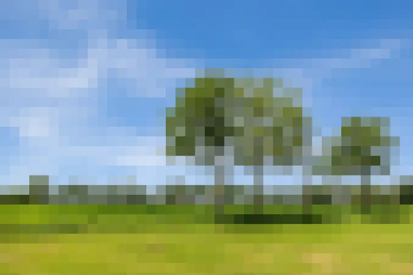 Dennendreef 5 089 Boxtel thumbnail 47