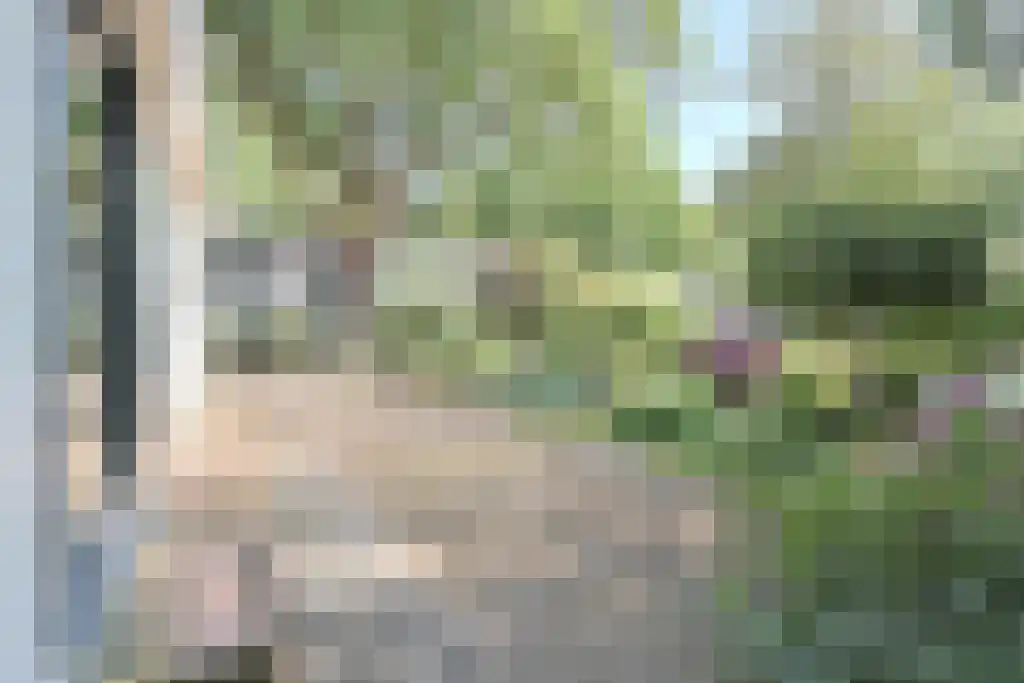 Dennendreef 5 250 Boxtel thumbnail 25
