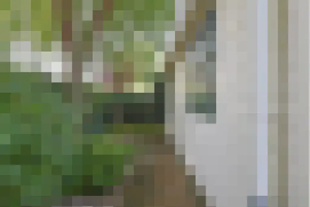 Dennendreef 5 250 Boxtel thumbnail 26