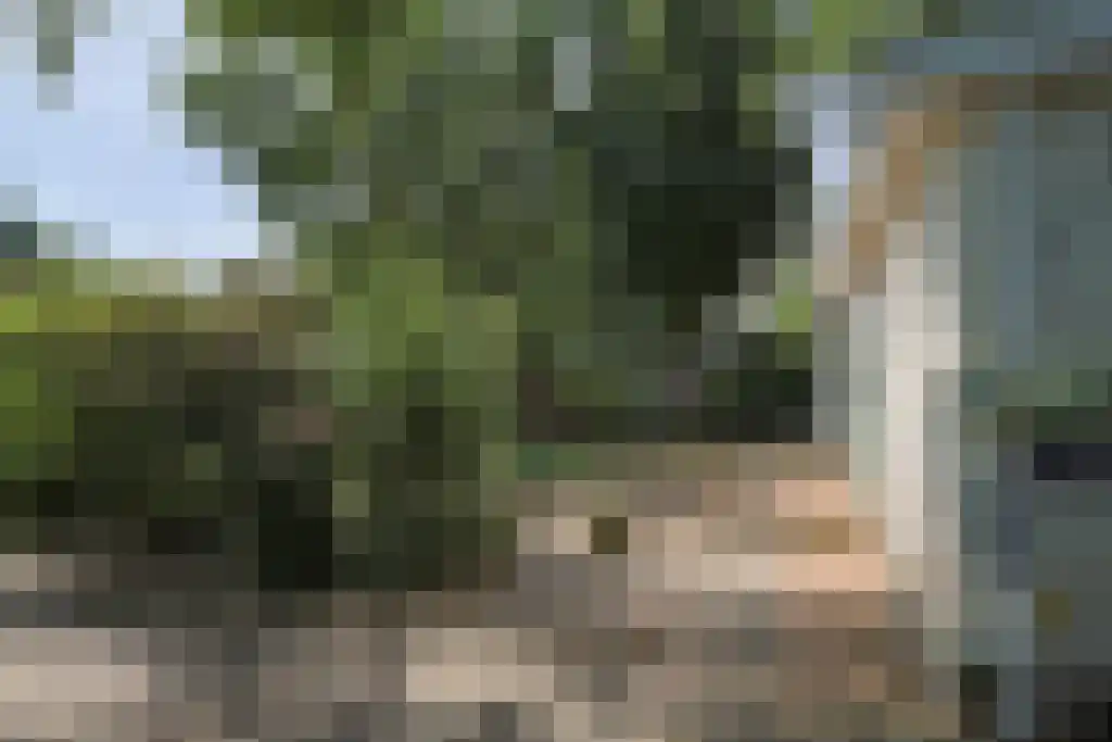 Dennendreef 5 250 Boxtel thumbnail 28
