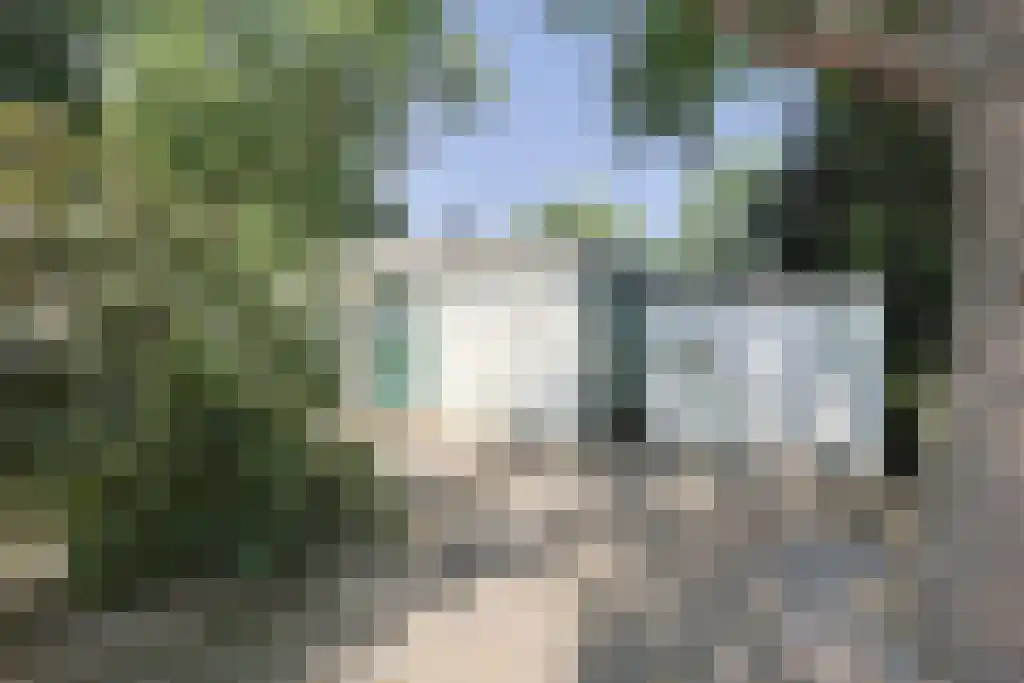 Dennendreef 5 250 Boxtel thumbnail 30