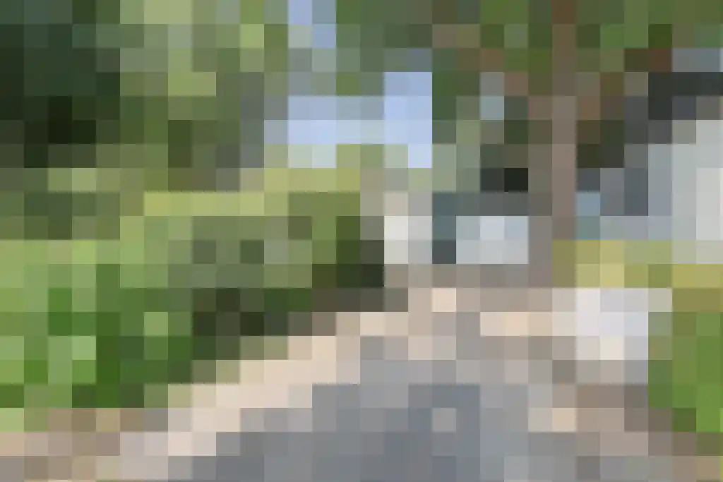 Dennendreef 5 250 Boxtel thumbnail 31
