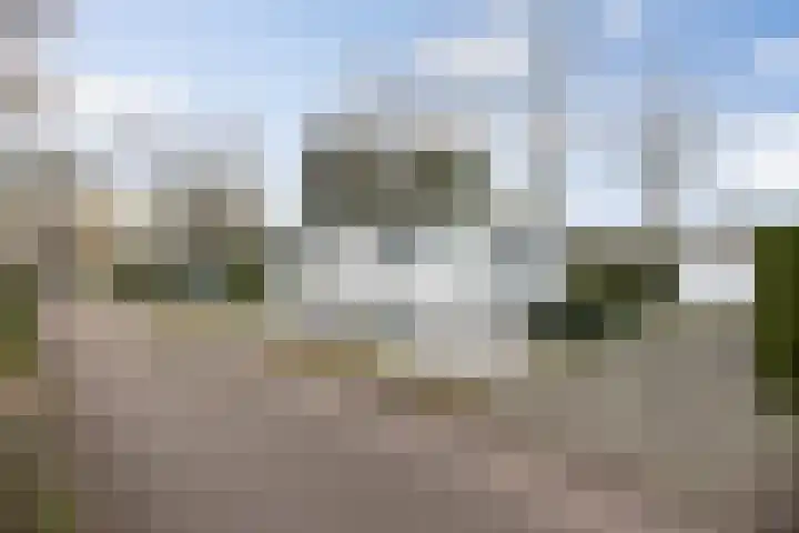 Dennendreef 5 252 Boxtel