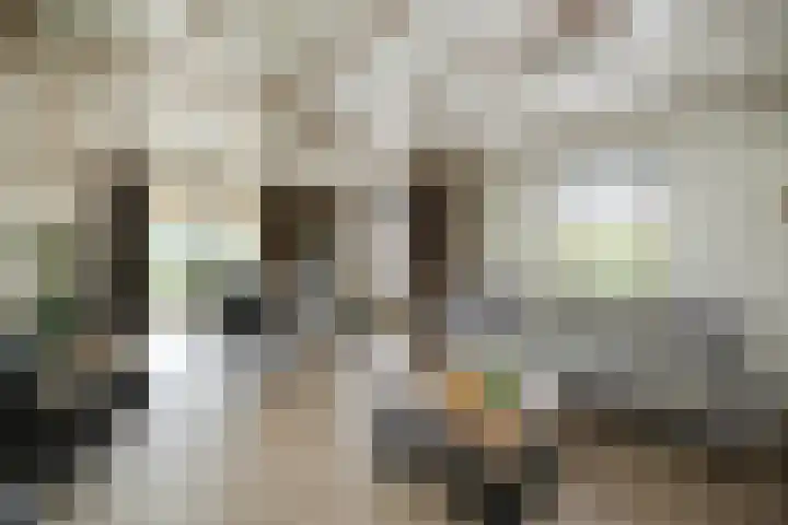 Dennendreef 5 252 Boxtel thumbnail 11