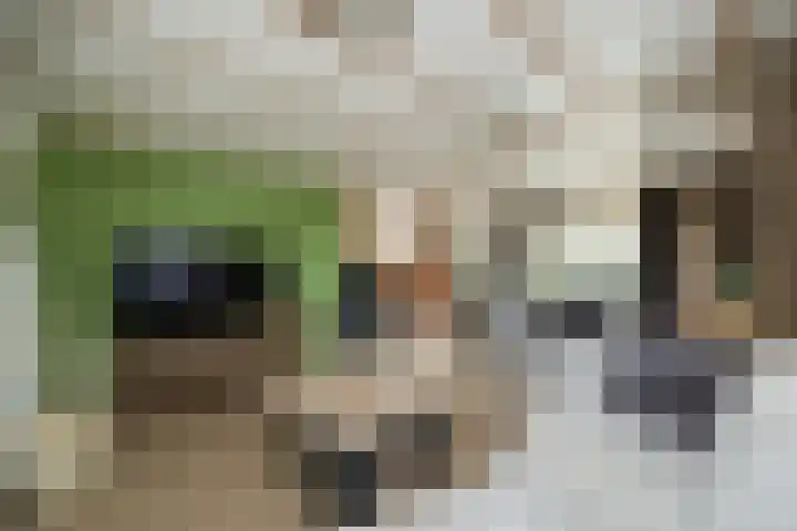 Dennendreef 5 252 Boxtel thumbnail 12