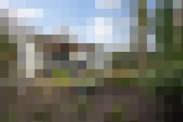 Dennendreef 5 252 Boxtel thumbnail 26