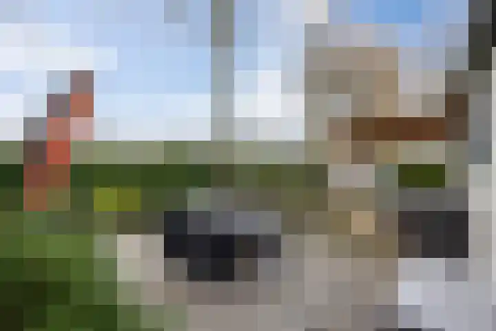 Dennendreef 5 252 Boxtel thumbnail 29