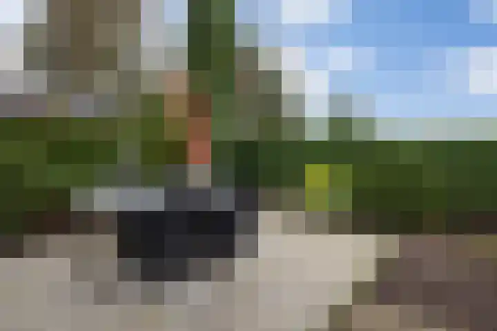 Dennendreef 5 252 Boxtel thumbnail 31
