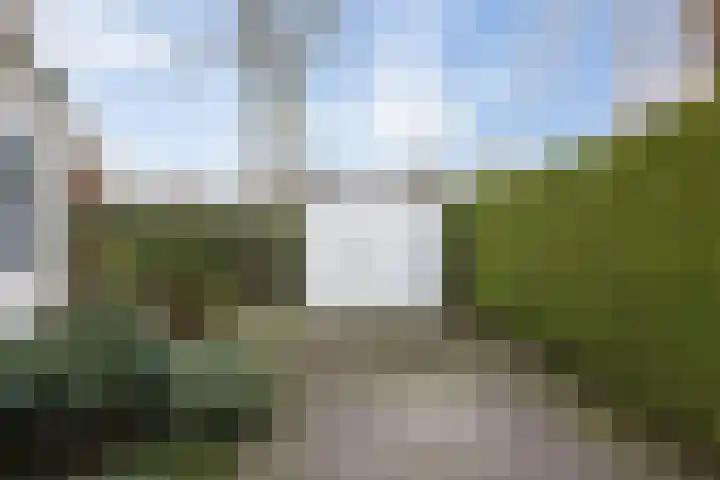 Dennendreef 5 252 Boxtel thumbnail 34