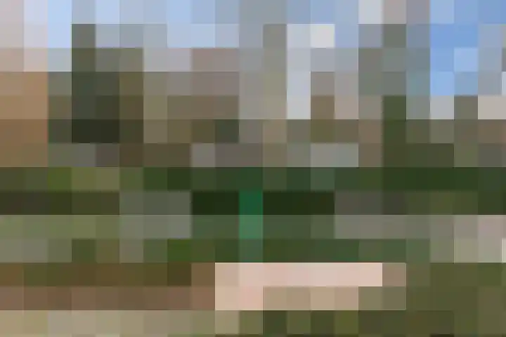 Dennendreef 5 252 Boxtel thumbnail 42