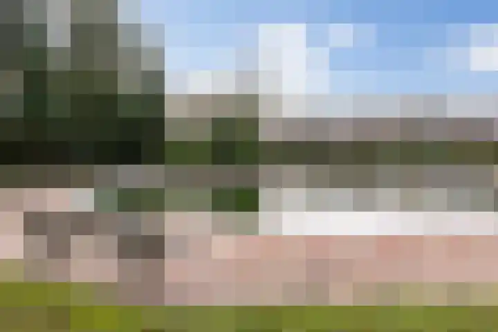 Dennendreef 5 252 Boxtel thumbnail 44