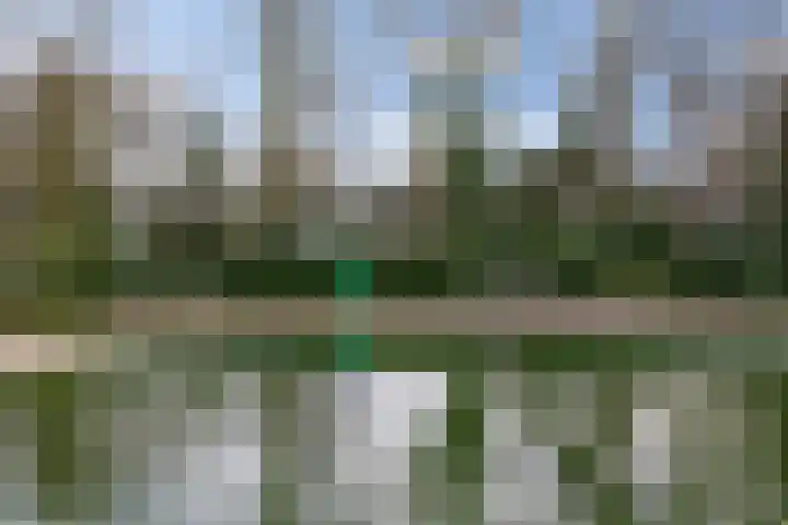 Dennendreef 5 252 Boxtel thumbnail 45