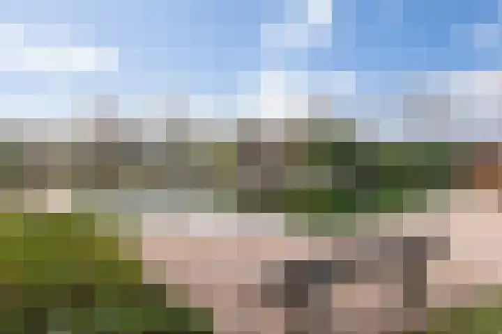 Dennendreef 5 252 Boxtel thumbnail 46