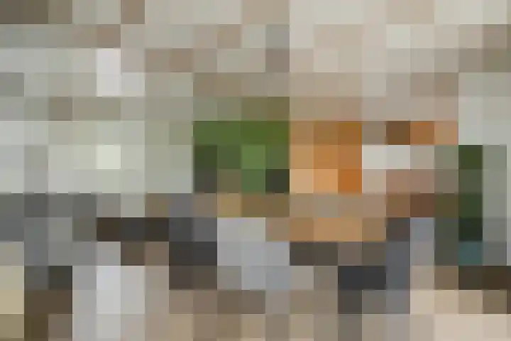 Dennendreef 5 252 Boxtel thumbnail 8