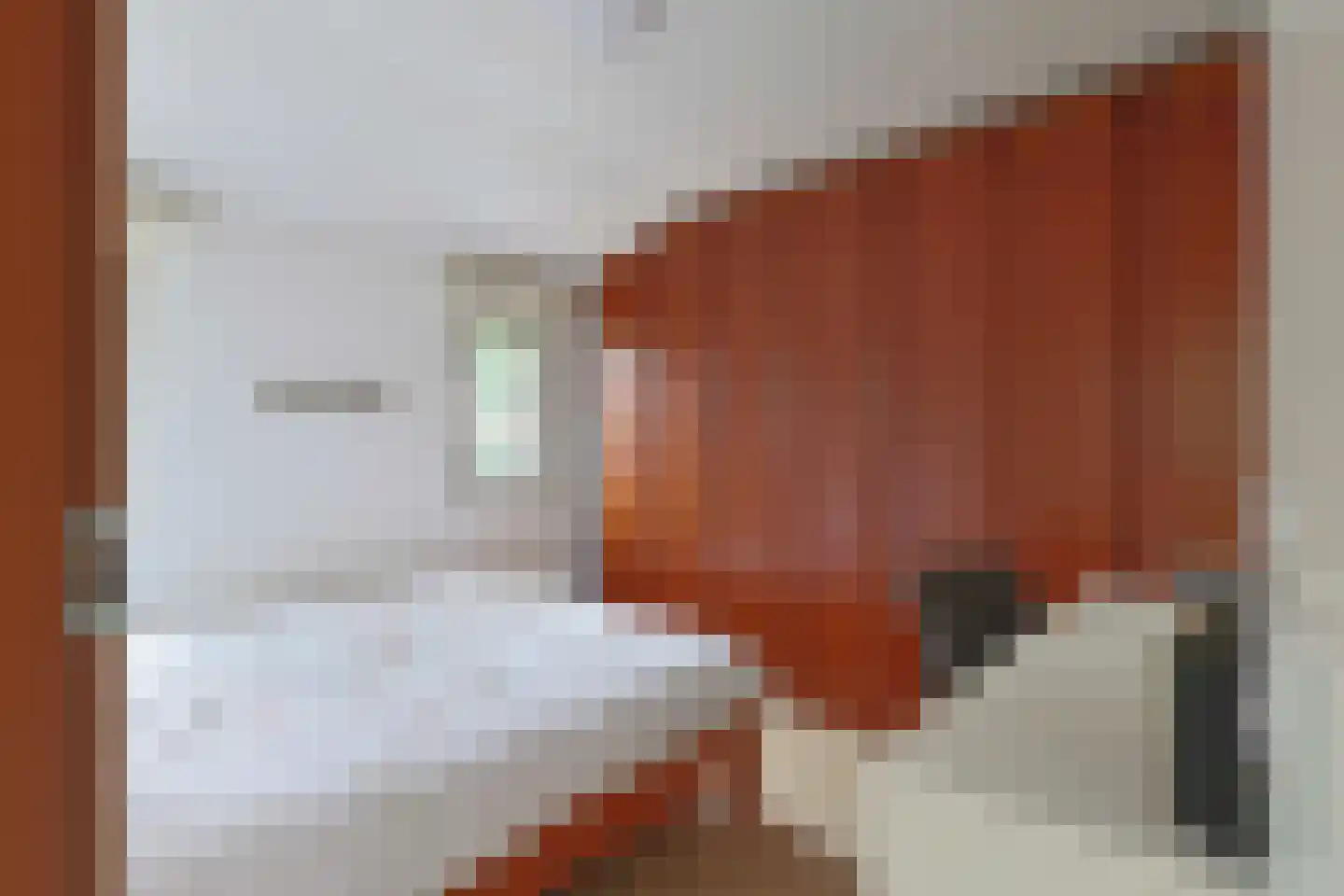 Dennendreef 5 258 Boxtel thumbnail 17