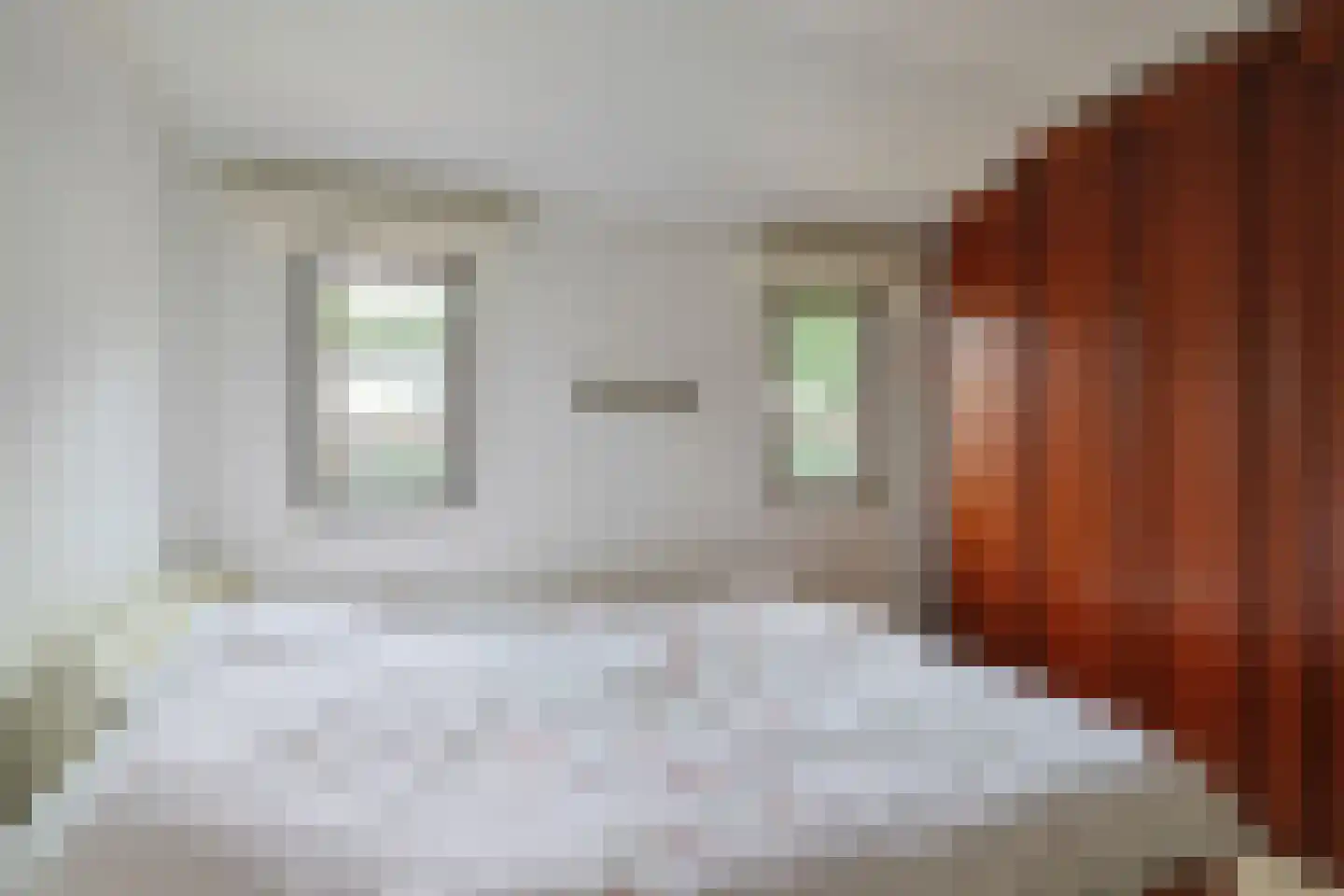 Dennendreef 5 258 Boxtel thumbnail 18