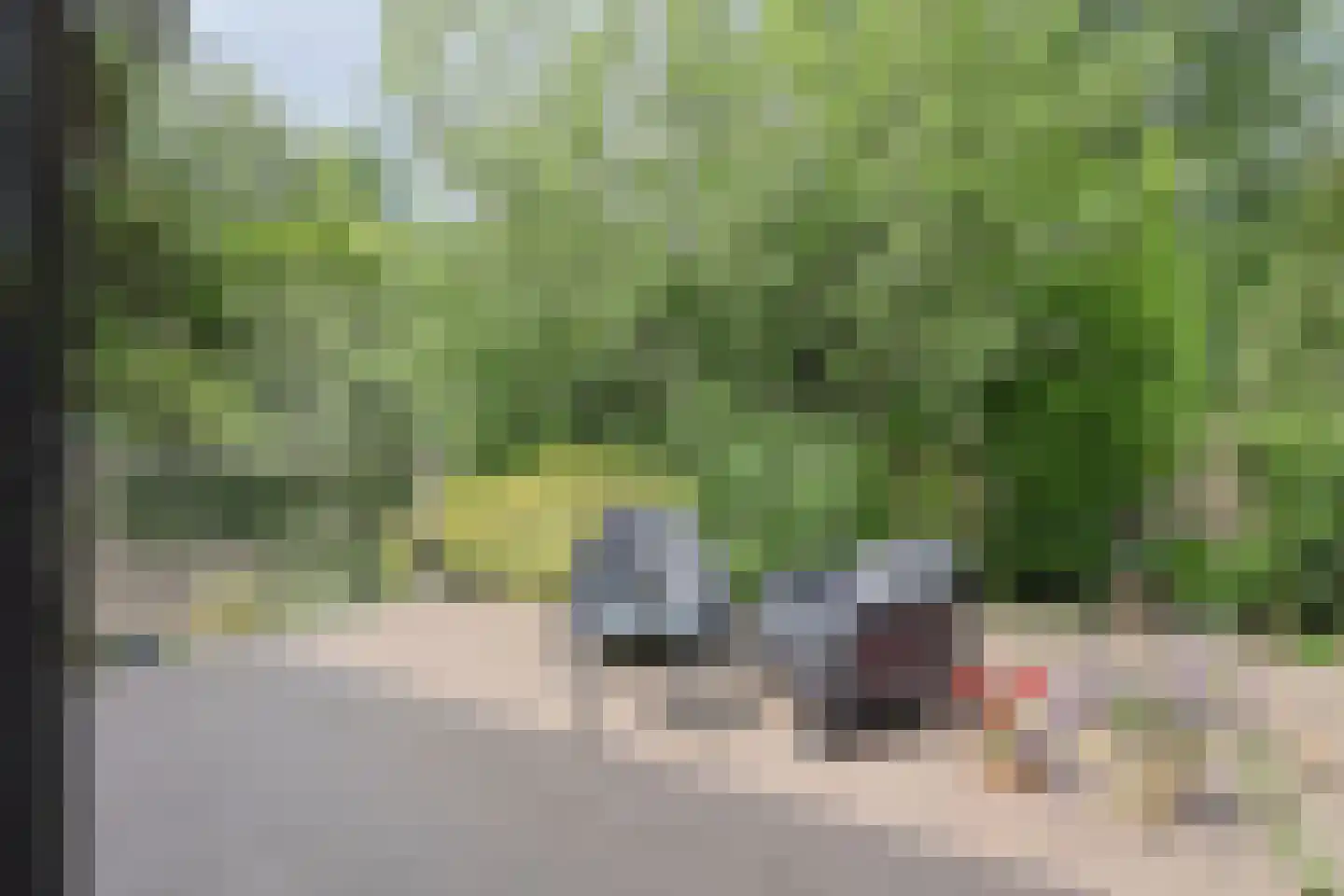 Dennendreef 5 258 Boxtel thumbnail 26