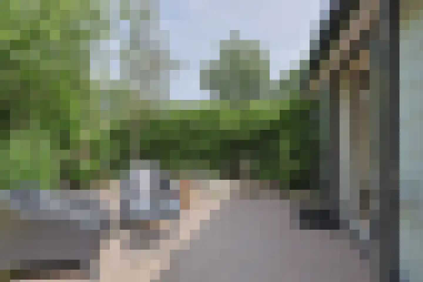 Dennendreef 5 258 Boxtel thumbnail 27